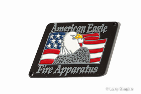 American_Eagle-8874W